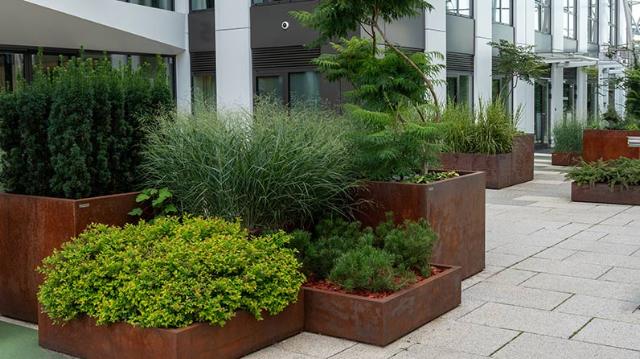 Grønne planter samlet i forskellige plantekasser der giver god variation mellem højderne.